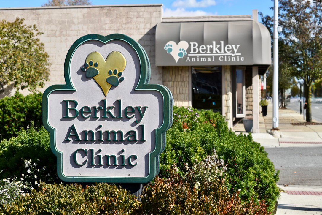Berkley Animal Hospital — photo
