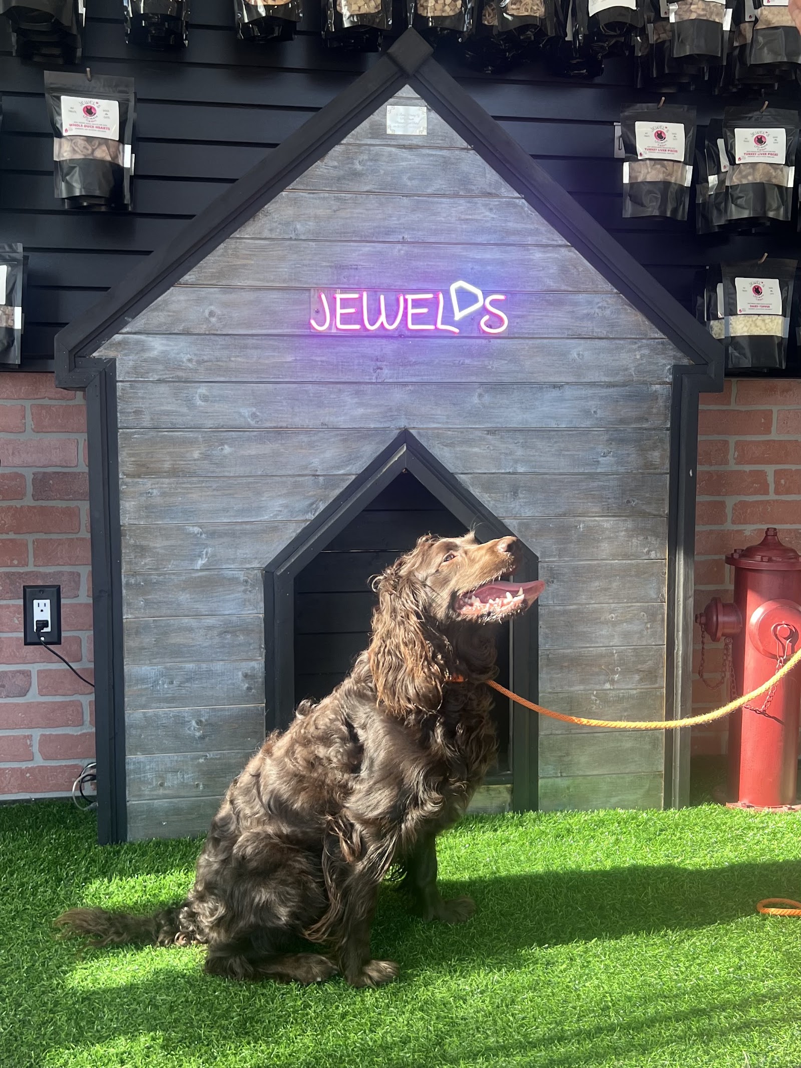 Jewel's Pet Cuisine & Accessories in Berkley