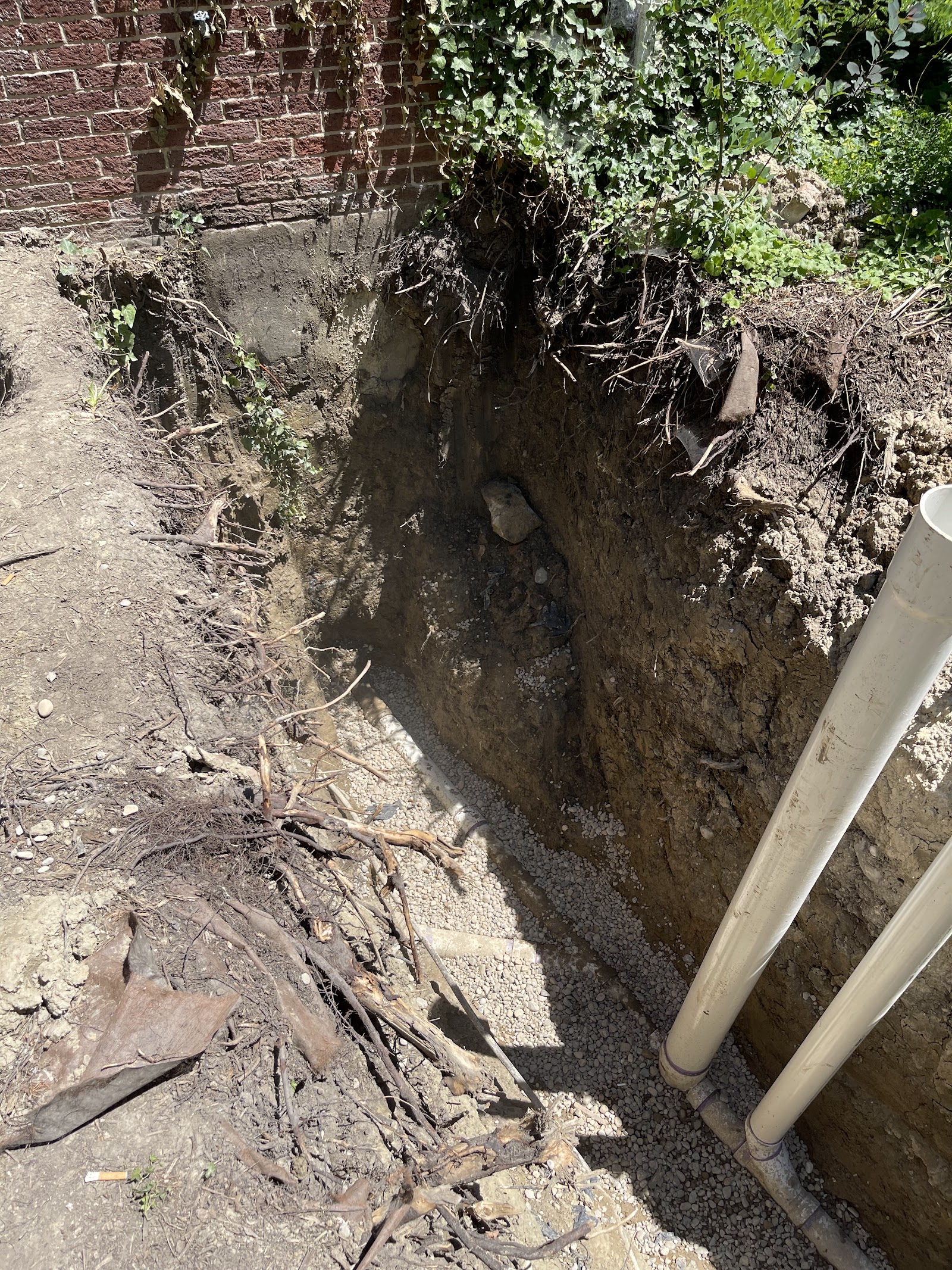 Main Drain Sewer & Repair in Berkley