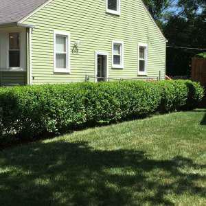We Like It Mowed — photo